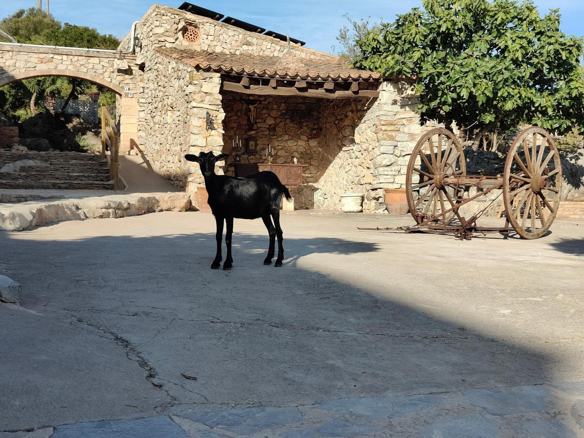 Agroturismo Sa Duaia Artá Exterior foto
